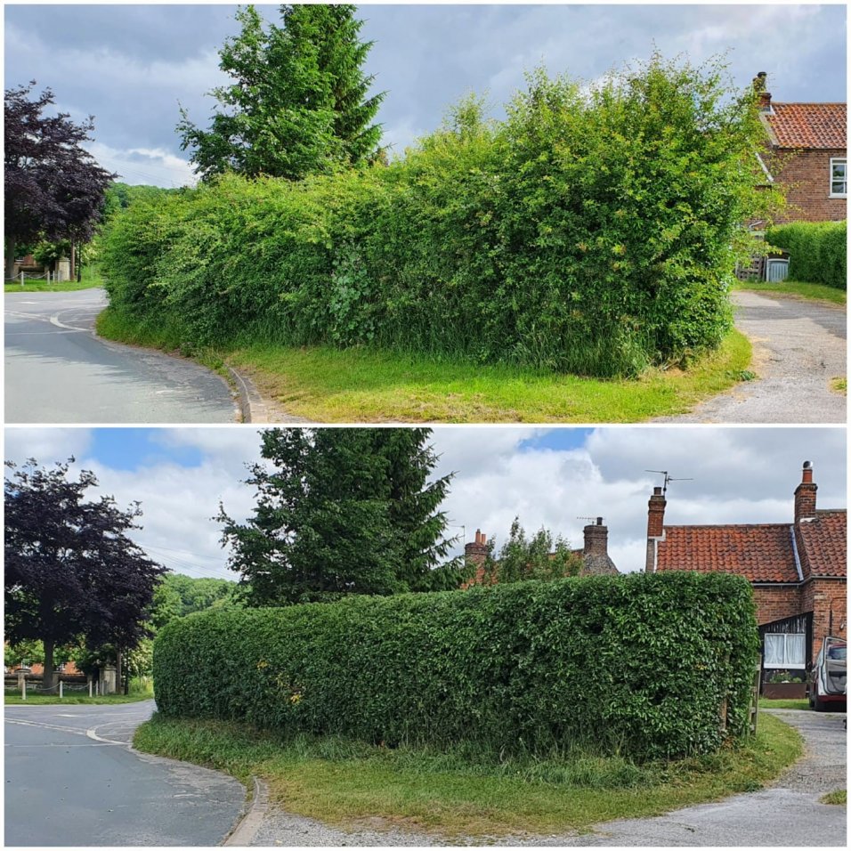 Hedge cutting services a little about East Yorkshire Gardening Co