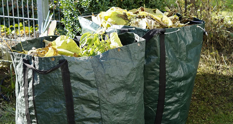 garden clearance garden clearance services